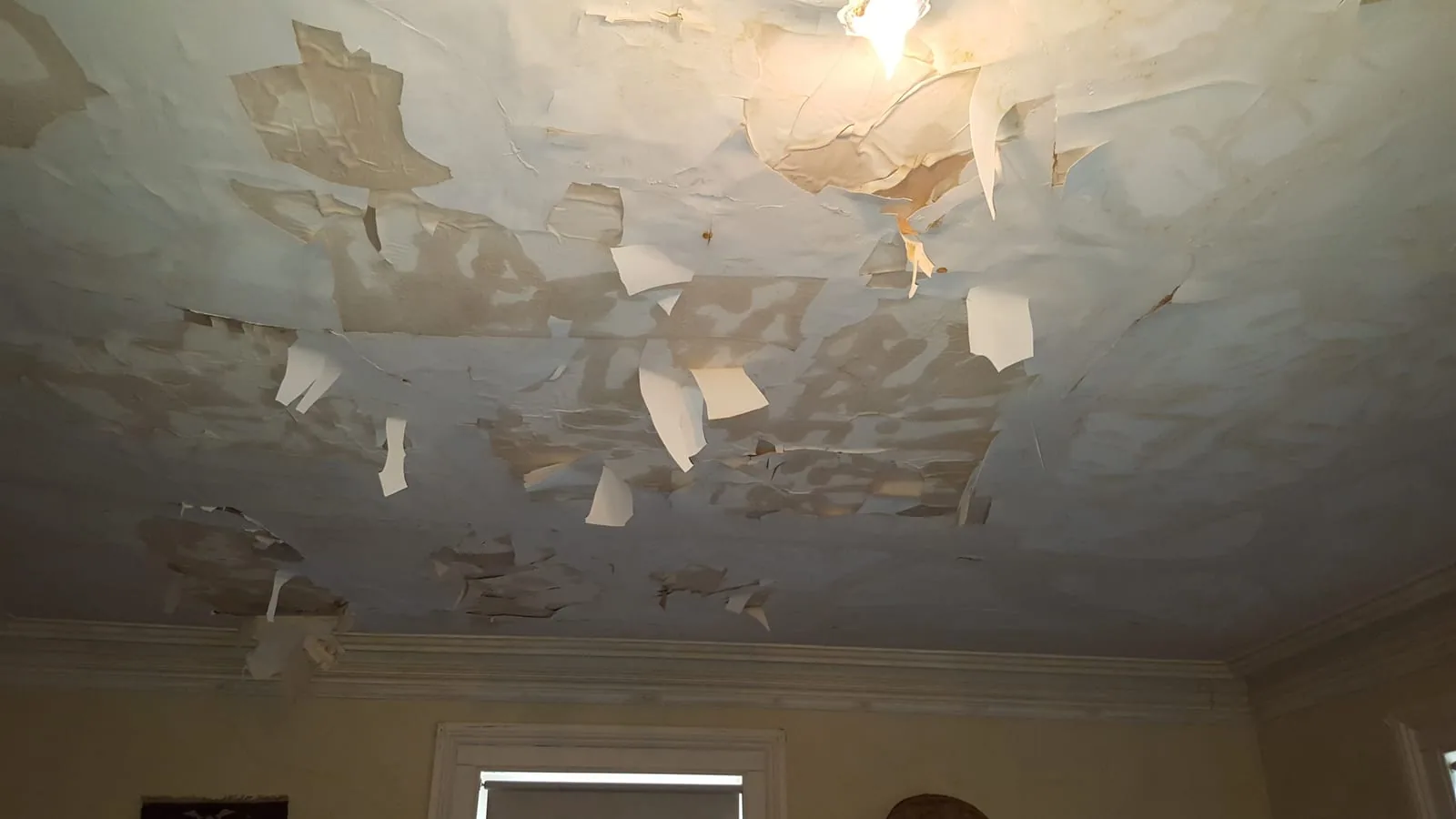 Water-saturated basement surface beginning to grow visible mold within 72 hours