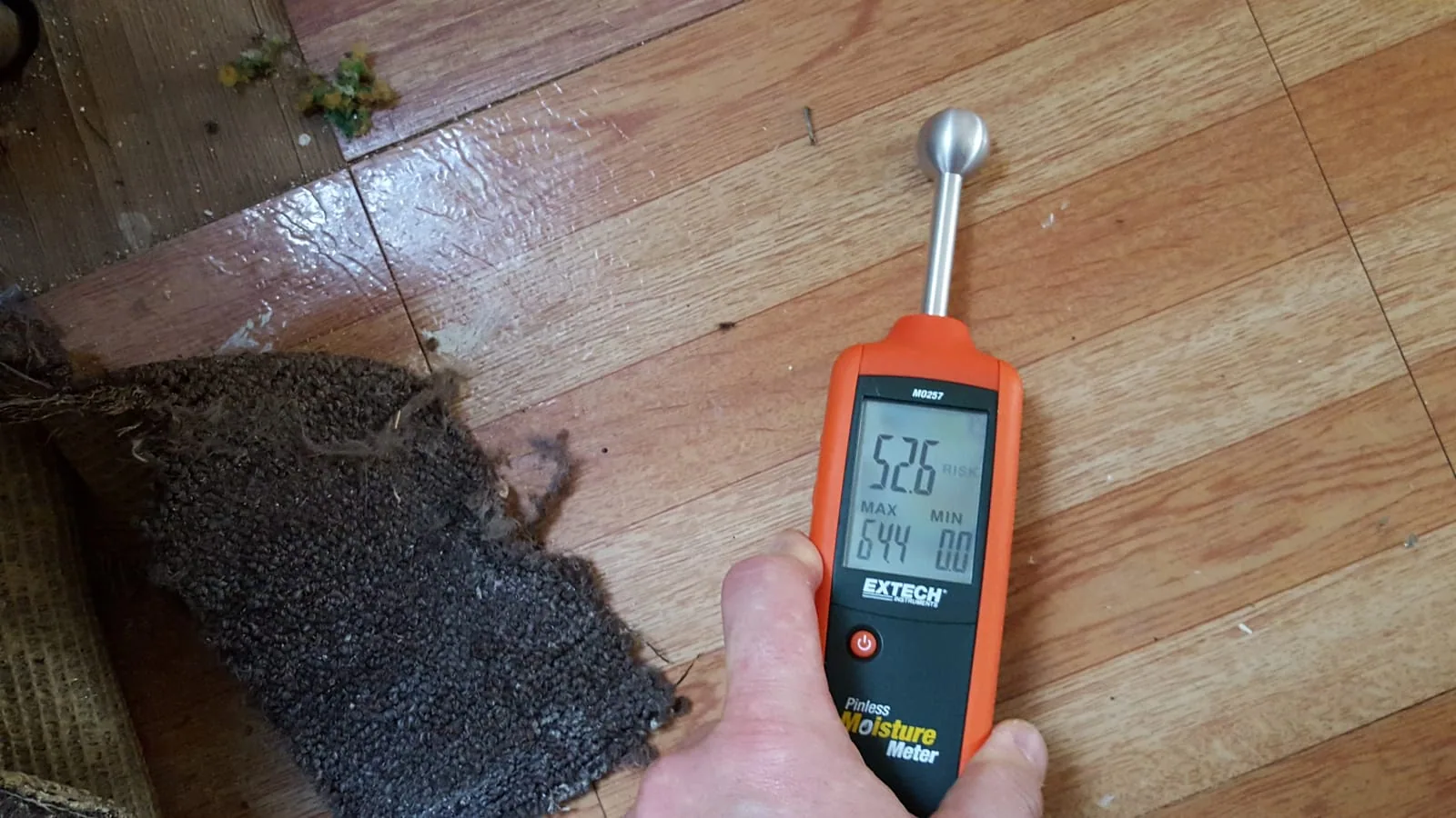 Pinless Reading on Hardwood