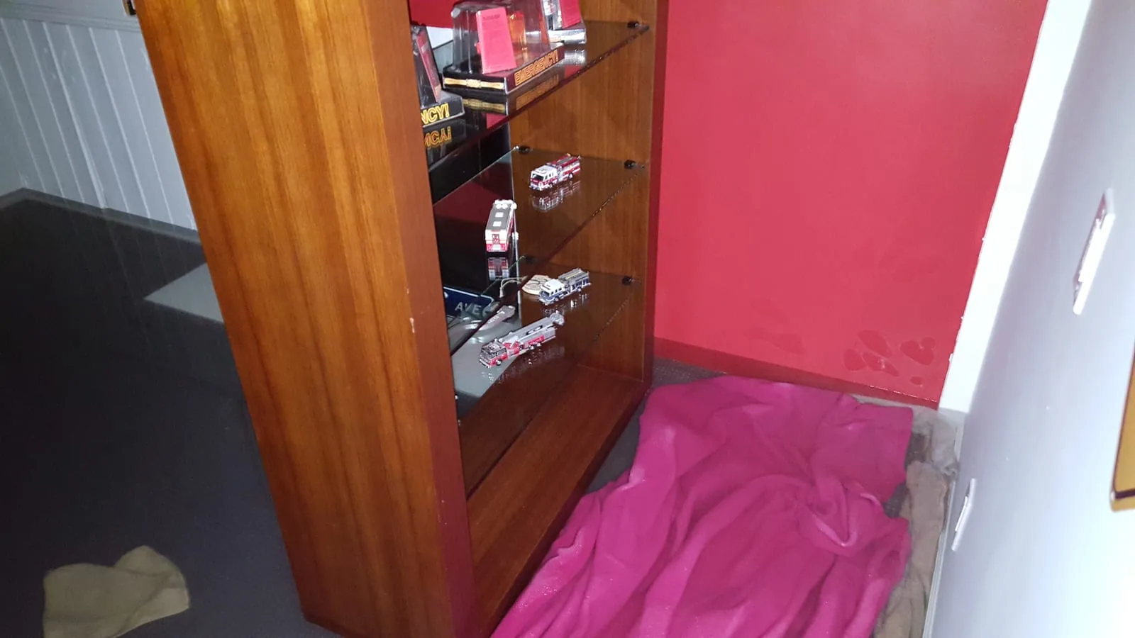 Finished basement with standing water requiring professional extraction and structural drying