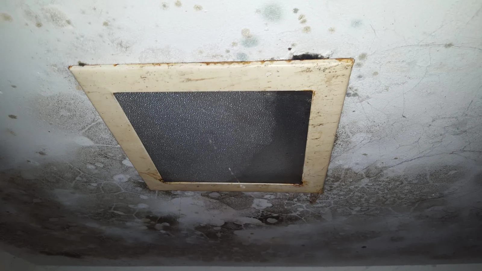 Heavy black mold contamination from sustained moisture on a Connecticut home interior surface