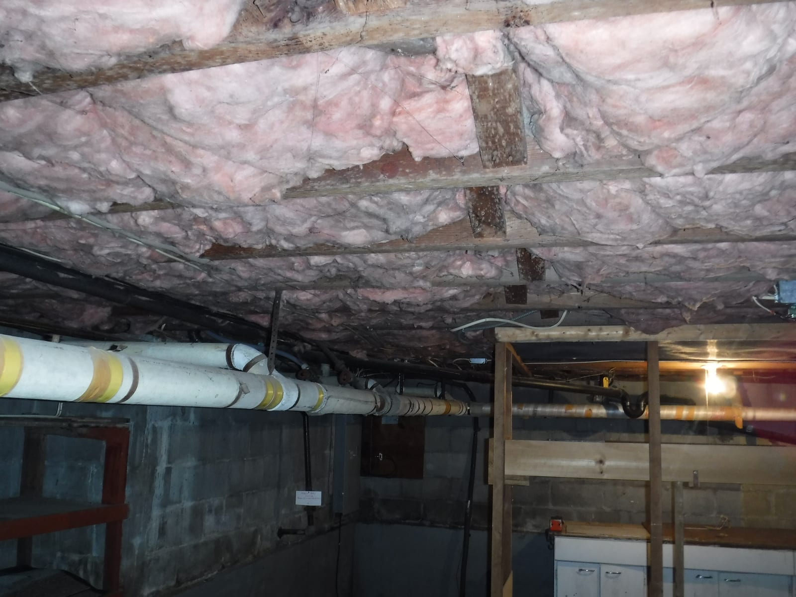 Active black mold (Stachybotrys) colonies on a wet basement wall in Stamford CT