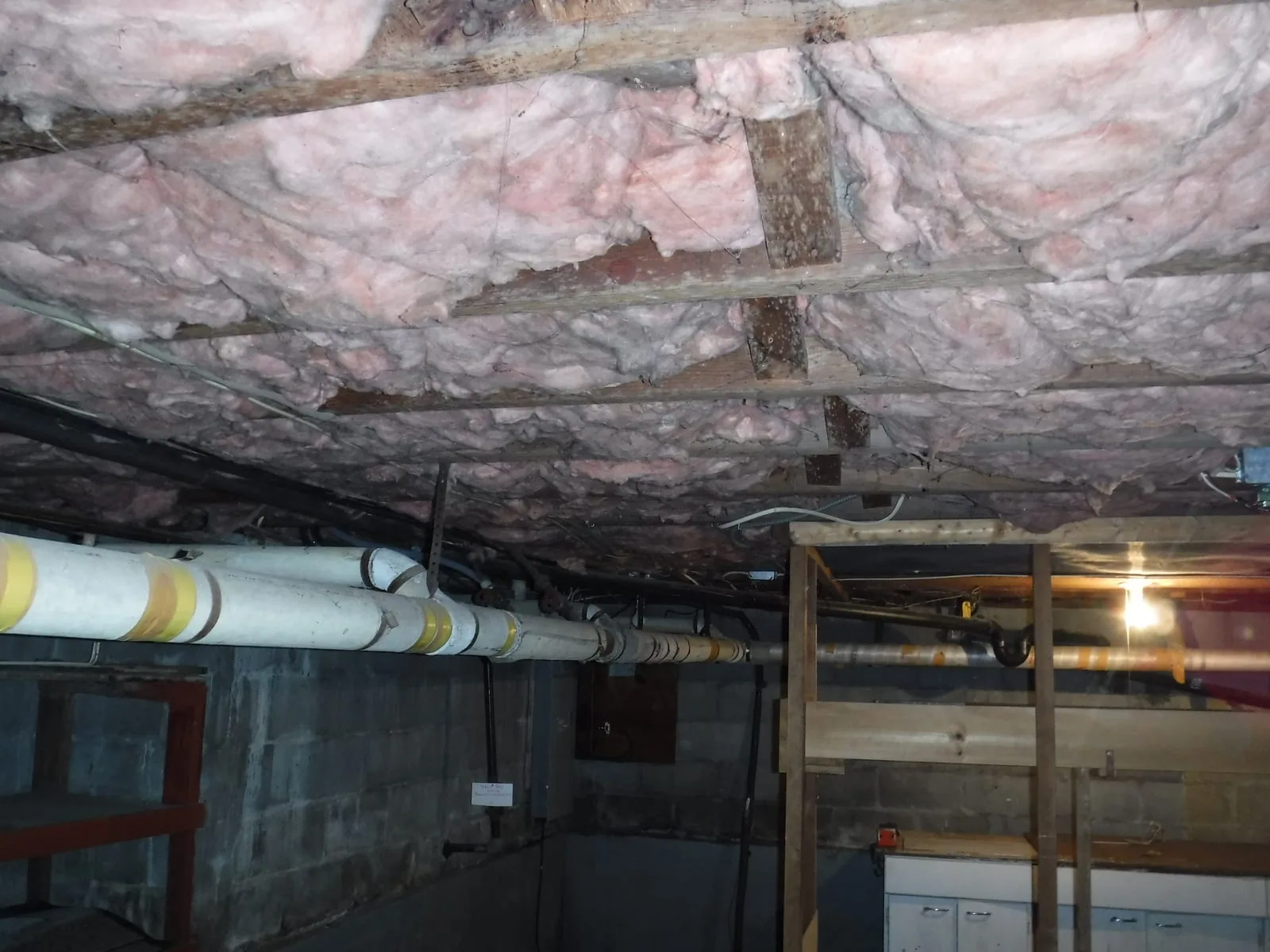 Musty Smell in Your Basement