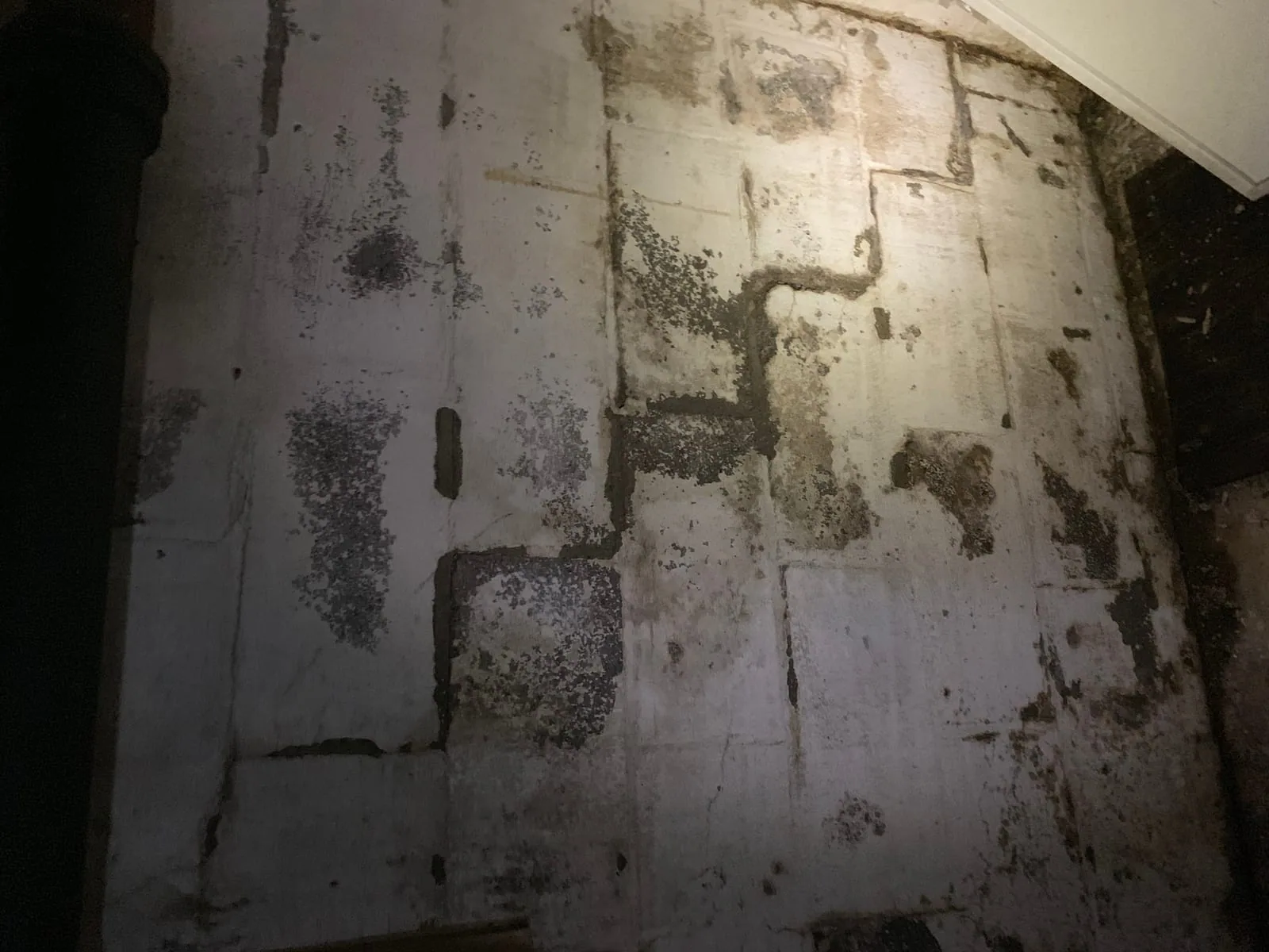 Heavy mold and dark staining covering a stone basement foundation wall