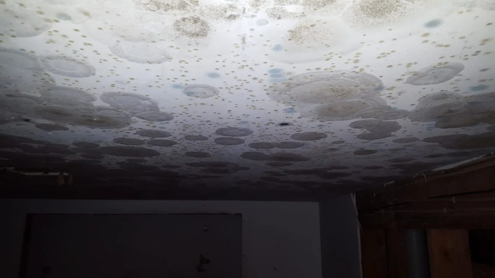 Mold on Bathroom Ceiling or Walls