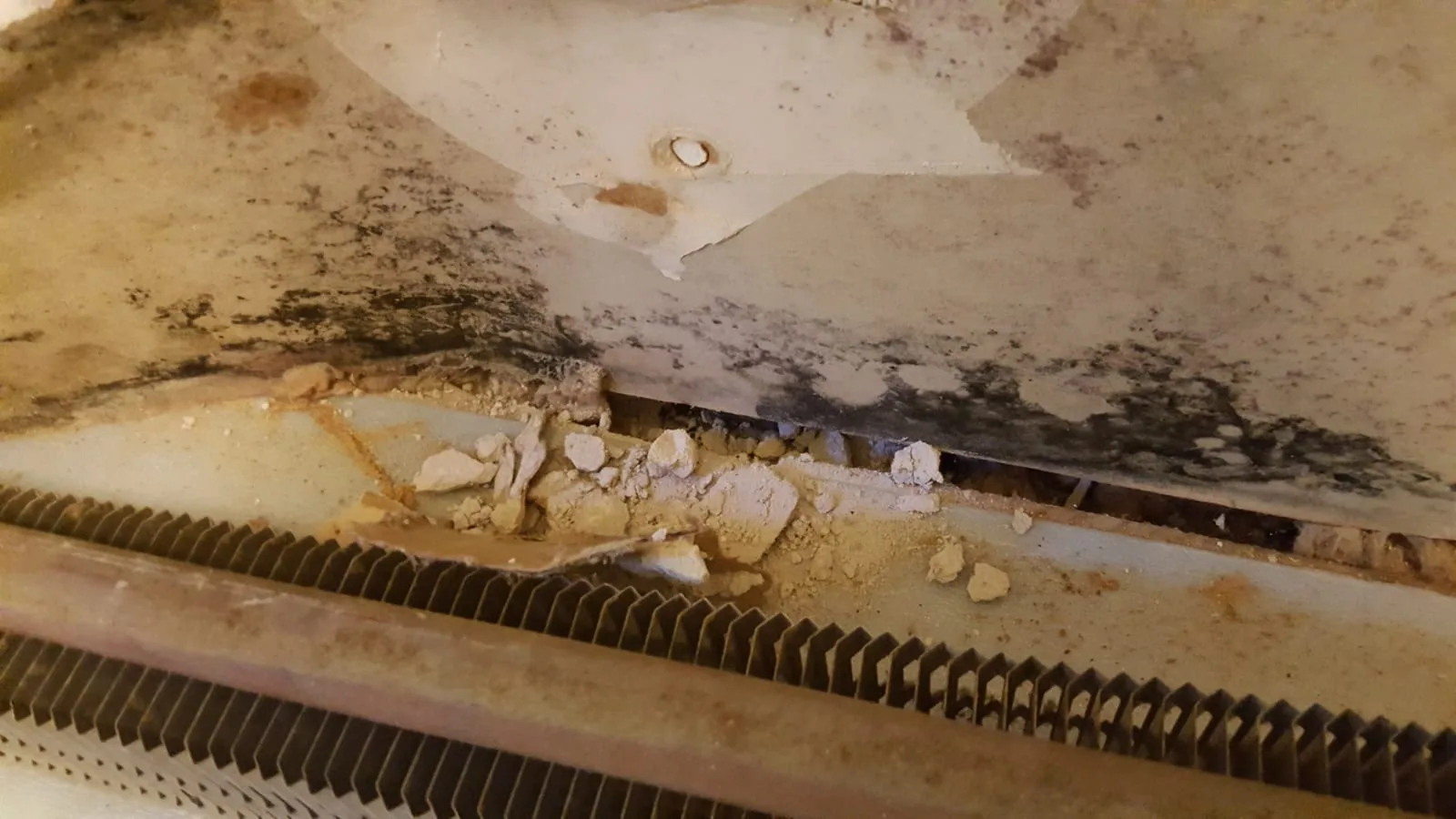 Visible black mold spreading across plaster wall requiring IICRC S520 mold remediation in Fairfield County