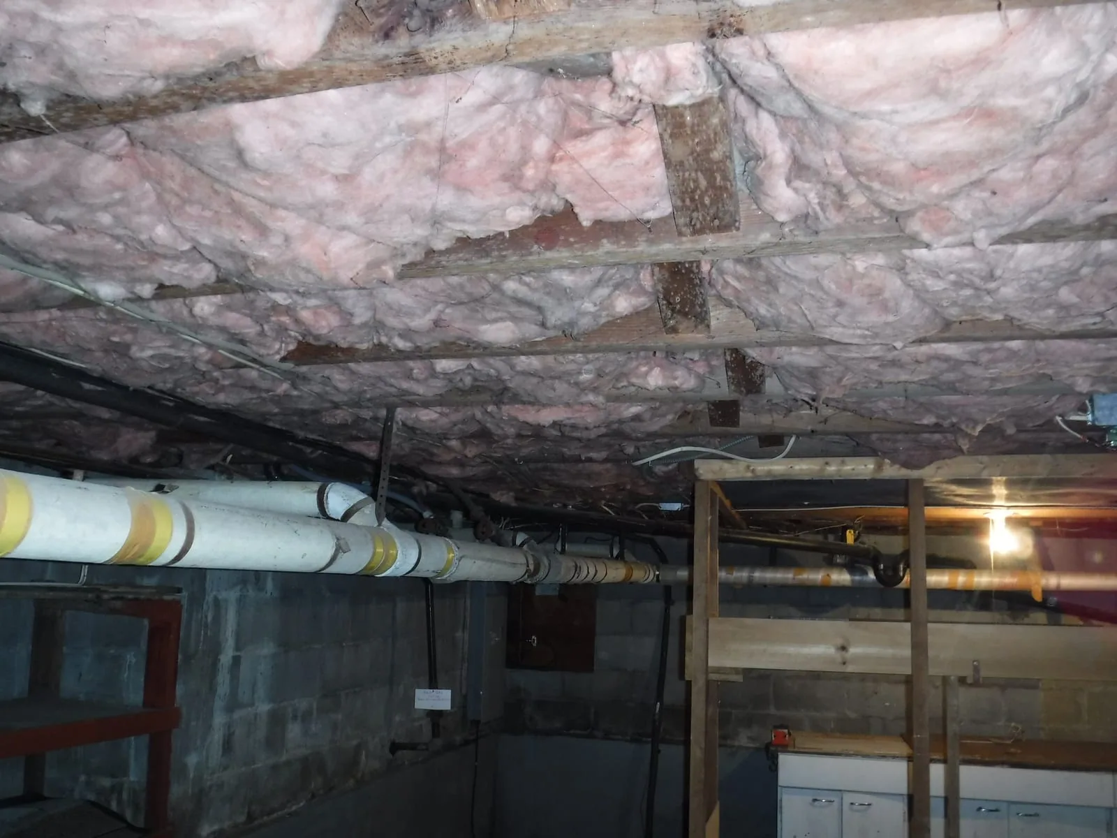 Wet basement materials with mold growth after flooding
