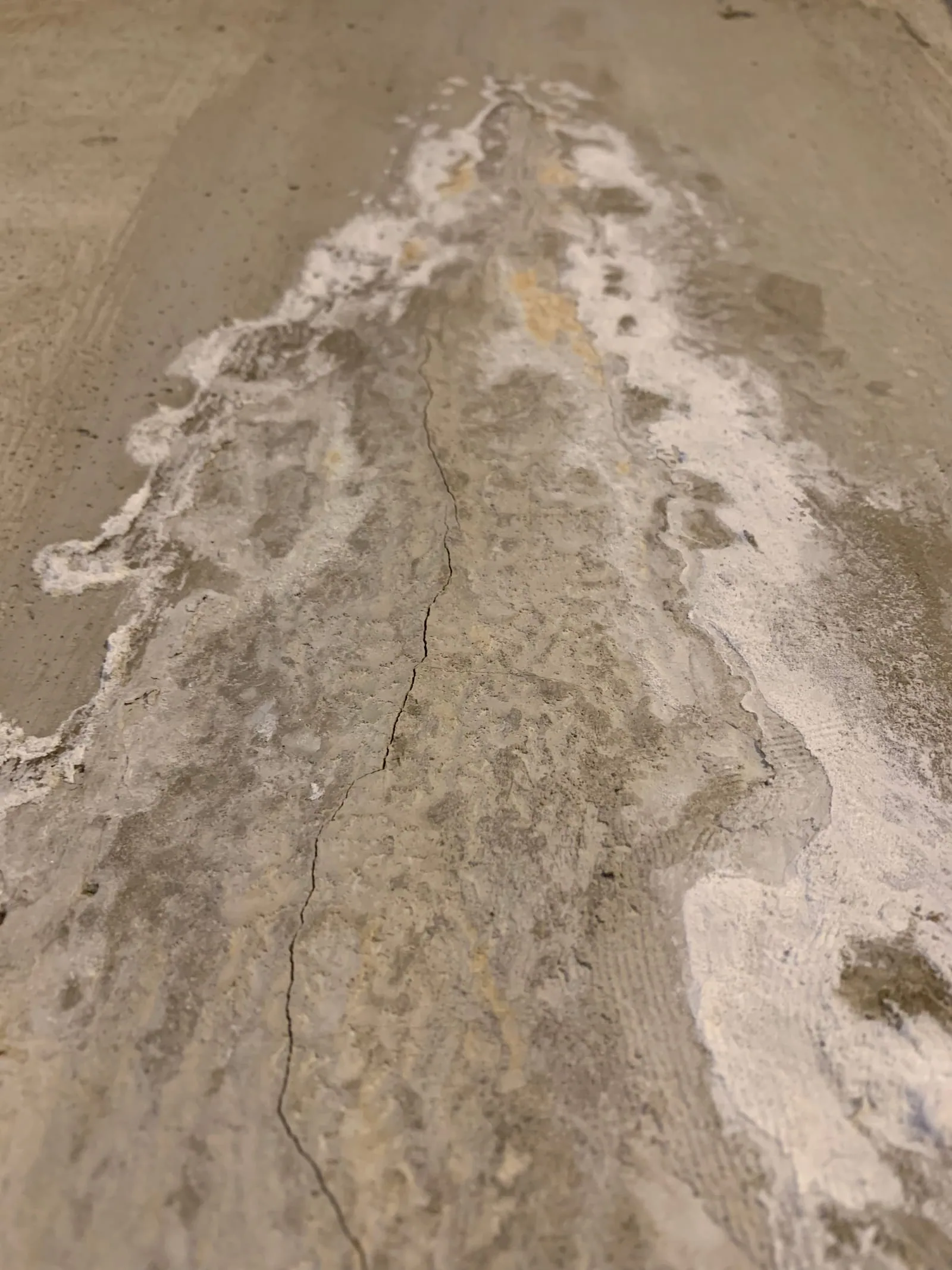 White efflorescence salt deposits forming on a basement foundation wall