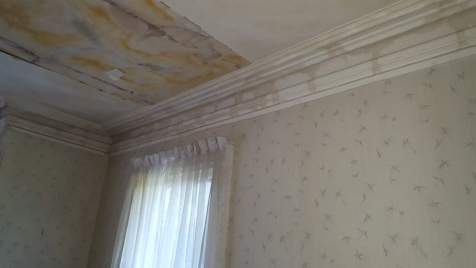 Water-stained ceiling and crown molding from an overhead leak in an upscale Fairfield County home — water damage restoration